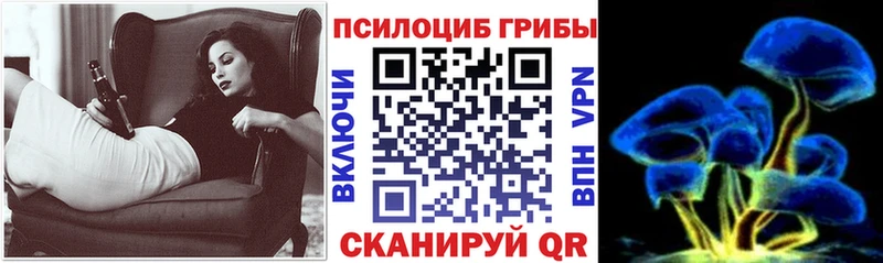 Галлюциногенные грибы MAGIC MUSHROOMS  где купить наркотик  Новомичуринск 